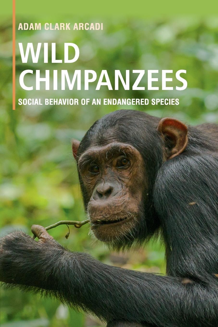 Cover: 9781316647561 | Wild Chimpanzees | Adam Clark Arcadi | Taschenbuch | Paperback | 2019