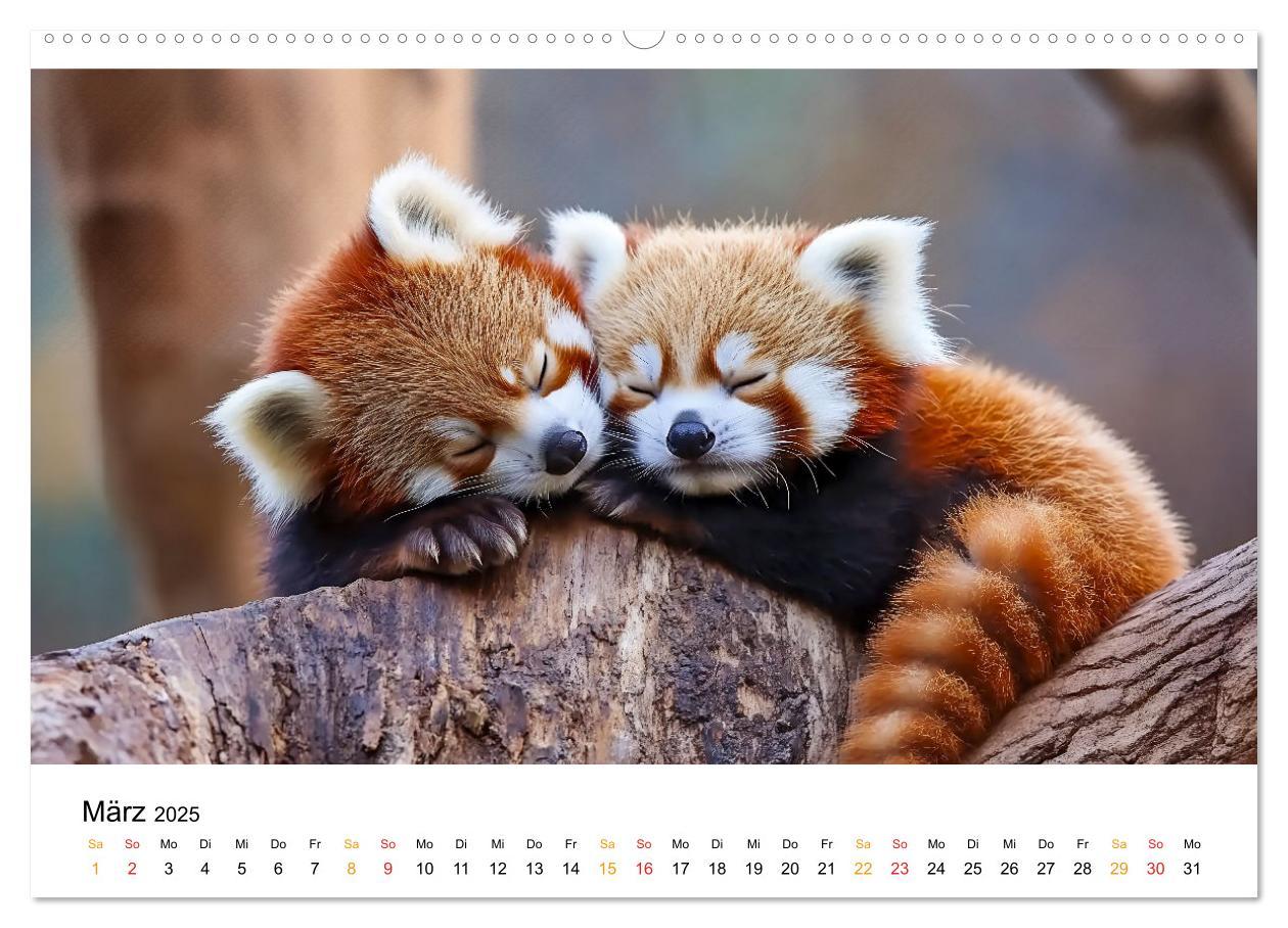 Bild: 9783457233672 | Wenn Tierchen träumen (Wandkalender 2025 DIN A2 quer), CALVENDO...