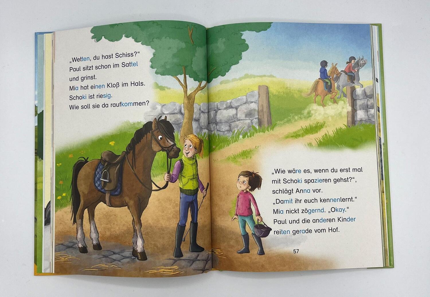 Bild: 9783401720265 | Die besten Pony- und Pferdegeschichten | Karin Müller (u. a.) | Buch