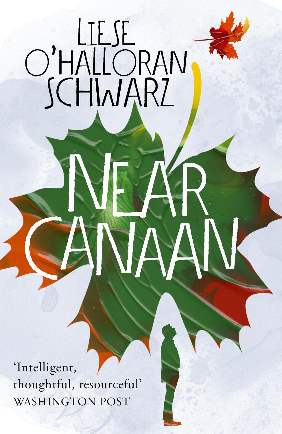 Cover: 9781784757311 | O'Halloran Schwarz, L: Near Canaan | Liese O'Halloran Schwarz | Buch