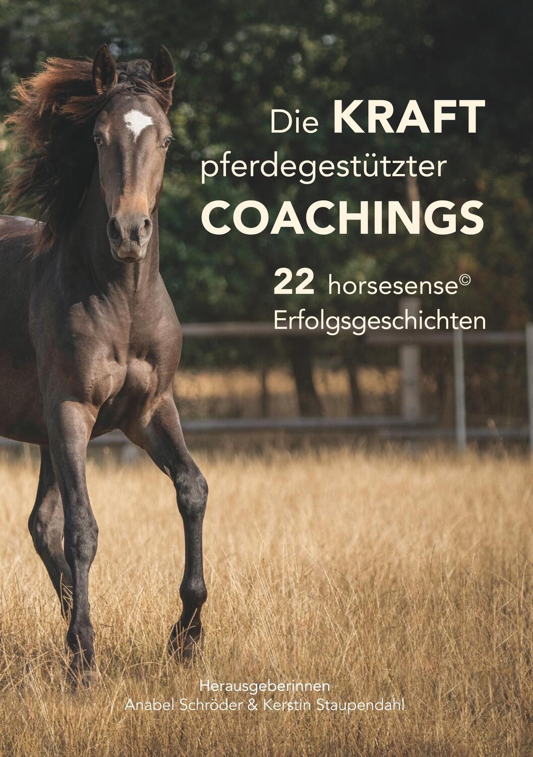 Cover: 9783749451326 | Die Kraft pferdegestützter Coachings | Anabel Schröder (u. a.) | Buch