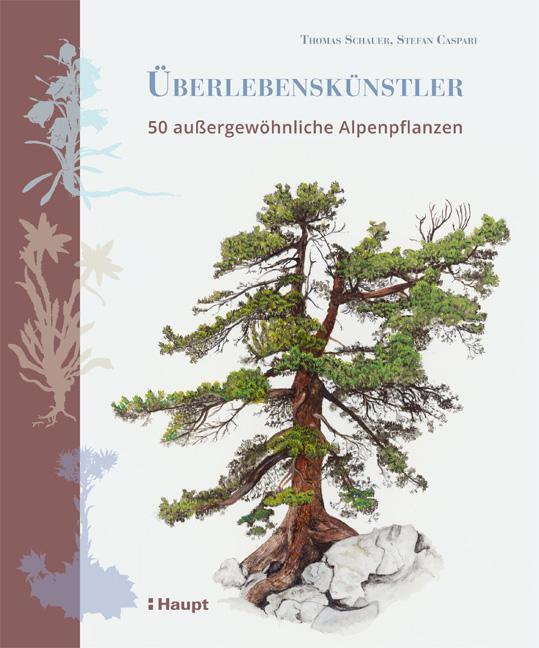 Cover: 9783258080796 | Überlebenskünstler | 50 außerordentliche Alpenpflanzen | Buch | 2019