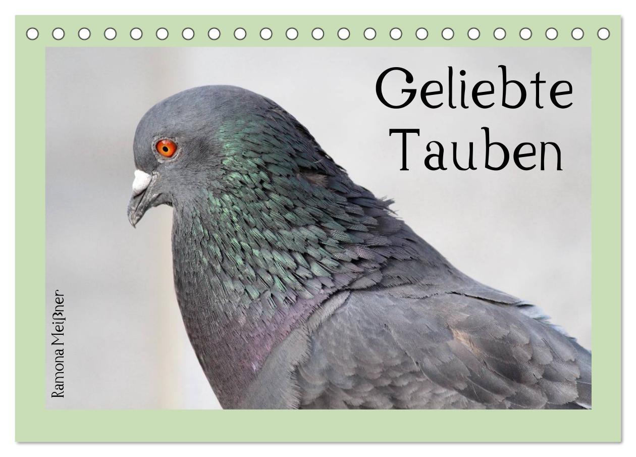 Cover: 9783435755486 | Geliebte Tauben (Tischkalender 2025 DIN A5 quer), CALVENDO...