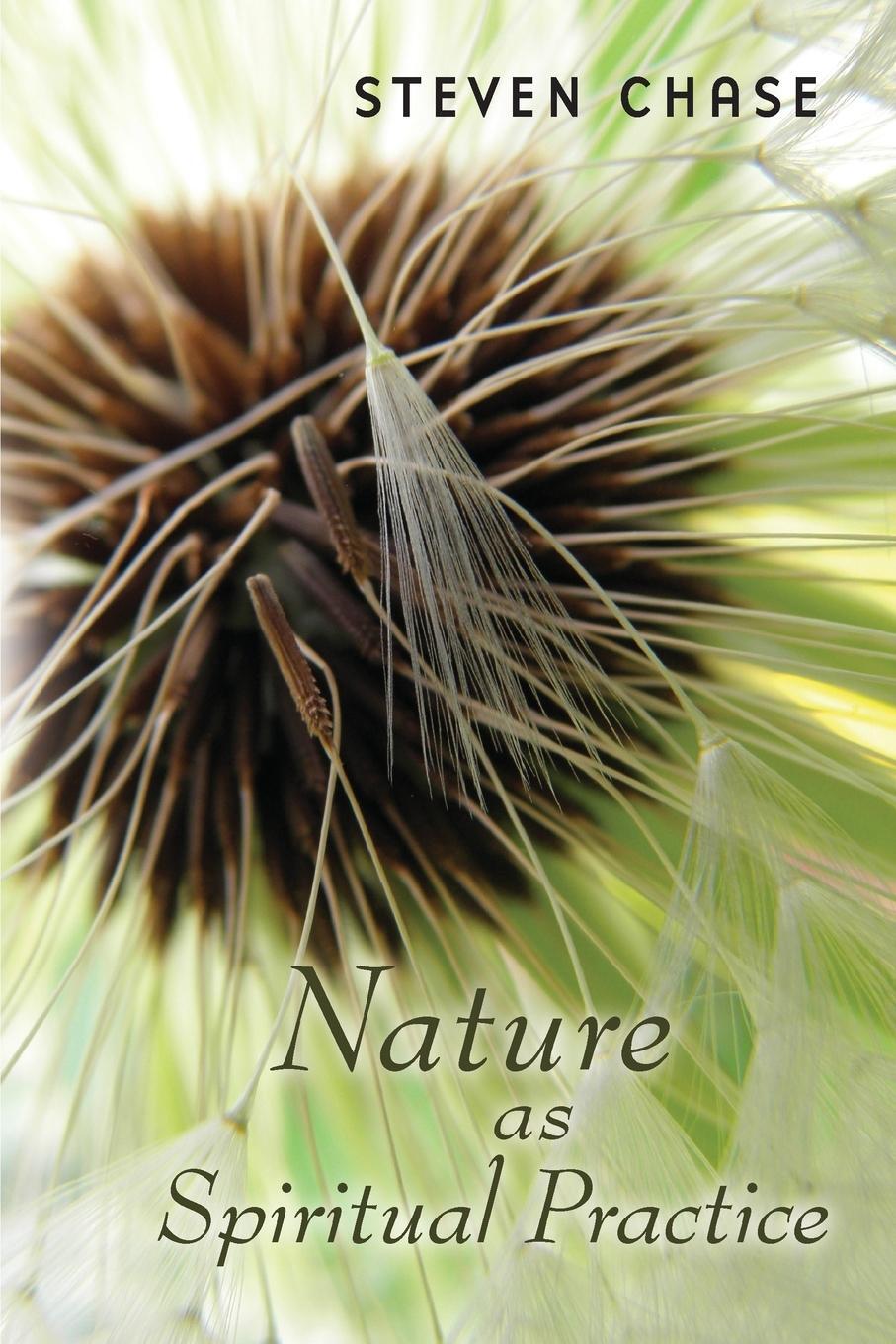 Cover: 9780802840103 | Nature as Spiritual Practice | Steven Chase | Taschenbuch | Paperback