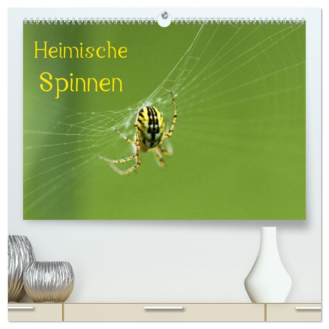 Cover: 9783383414763 | Heimische Spinnen (hochwertiger Premium Wandkalender 2024 DIN A2...
