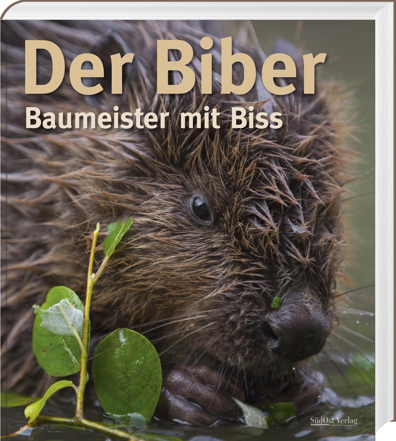 Cover: 9783955877934 | Der Biber | Baumeister mit Biss | Volker Zahner (u. a.) | Buch | 2021