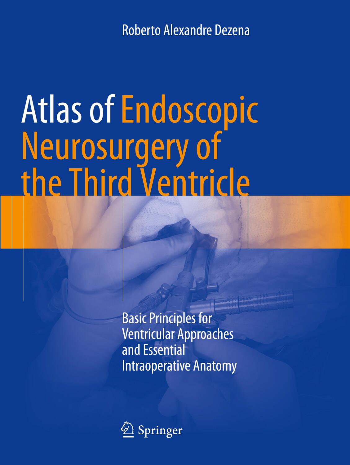 Cover: 9783319843100 | Atlas of Endoscopic Neurosurgery of the Third Ventricle | Dezena | xii