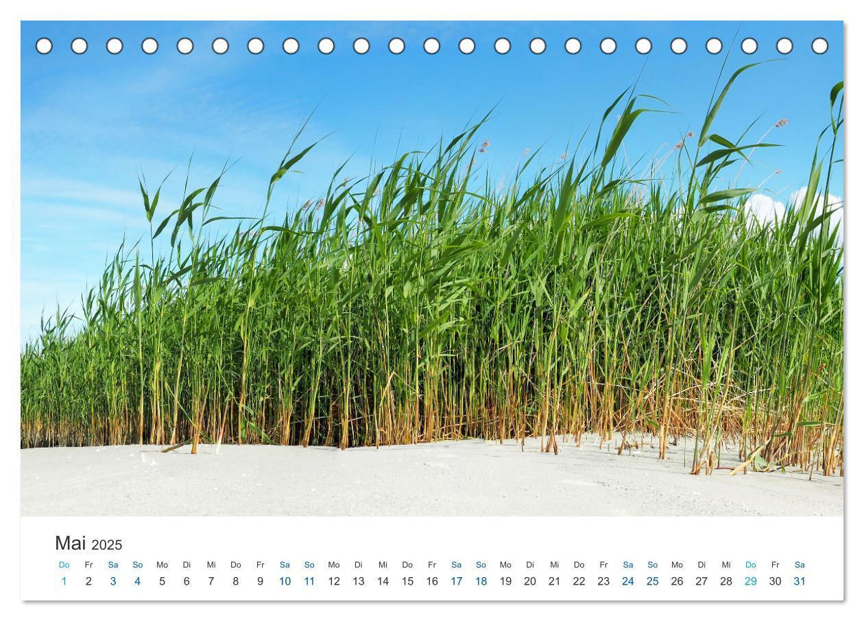 Bild: 9783435064397 | Deutsche Küste - Nordsee und Ostsee (Tischkalender 2025 DIN A5...