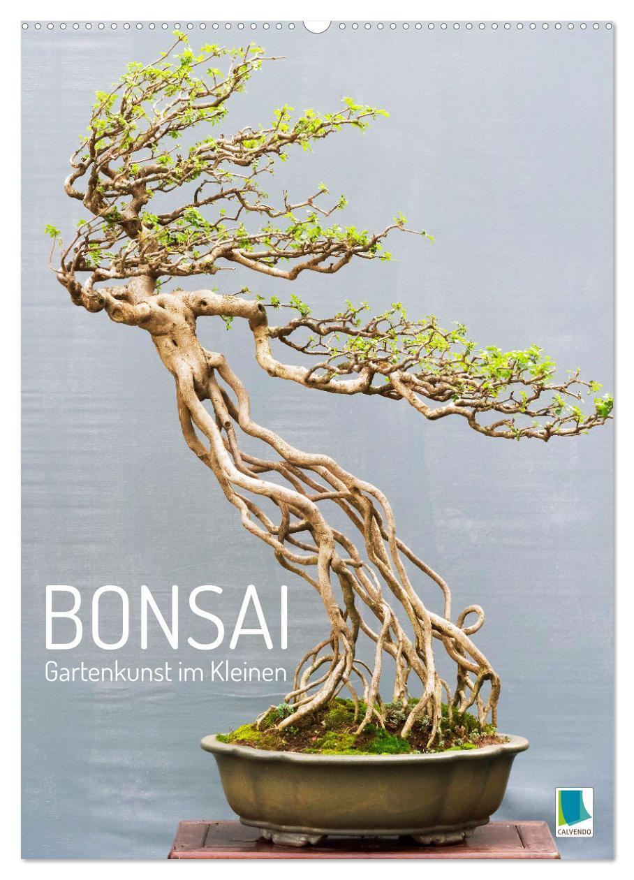 Cover: 9783383718670 | Bonsai: Gartenkunst im Kleinen (Wandkalender 2024 DIN A2 hoch),...