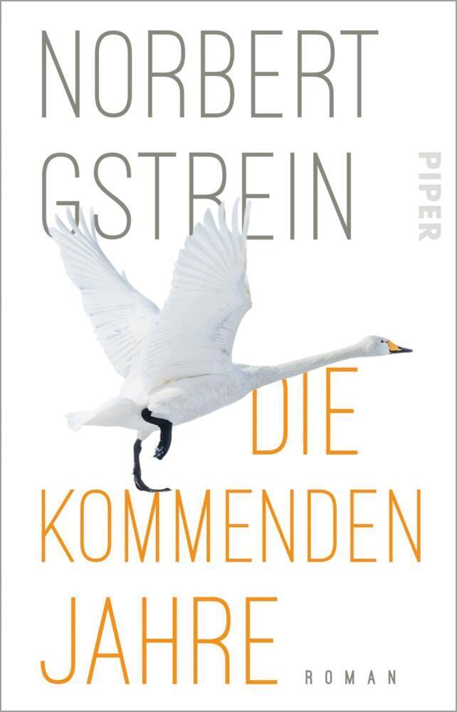 Cover: 9783492317290 | Die kommenden Jahre | Norbert Gstrein | Taschenbuch | 288 S. | Deutsch
