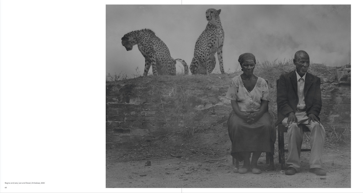 Bild: 9783775750899 | Nick Brandt | The Day May Break | Nadine Barth | Buch | 168 S. | 2021