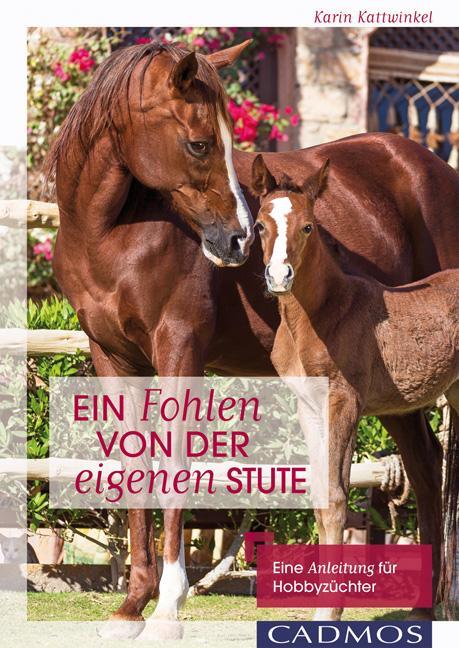 Cover: 9783840415135 | Ein Fohlen von der eigenen Stute | Karin Kattwinkel | Taschenbuch