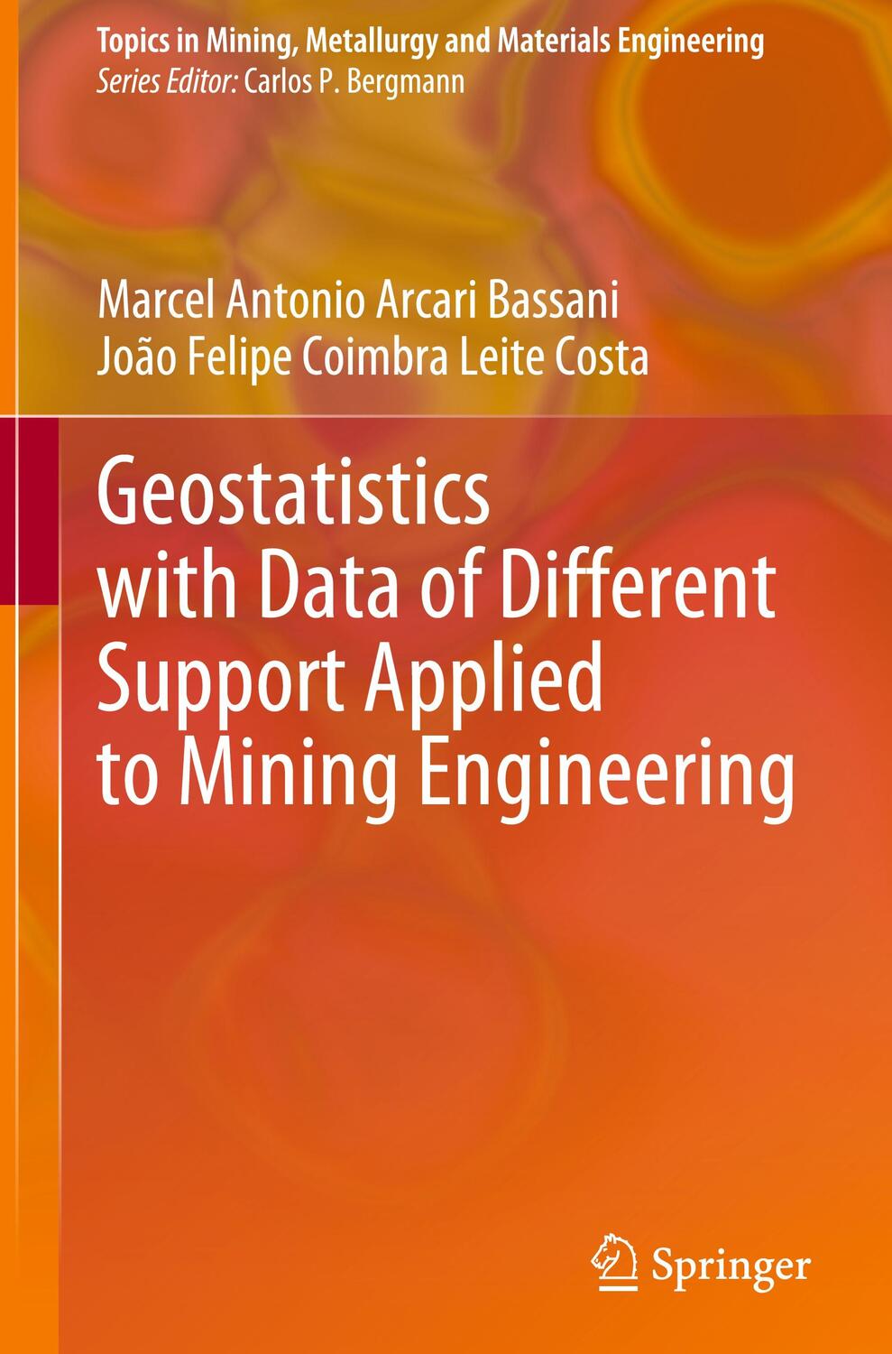 Cover: 9783030801922 | Geostatistics with Data of Different Support Applied to Mining...