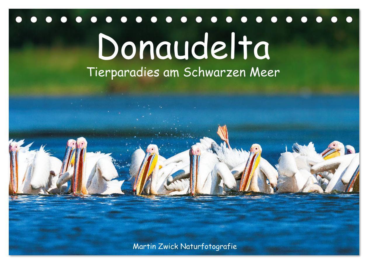 Cover: 9783435097760 | Donaudelta - Tierparadies am Schwarzen Meer (Tischkalender 2025 DIN...