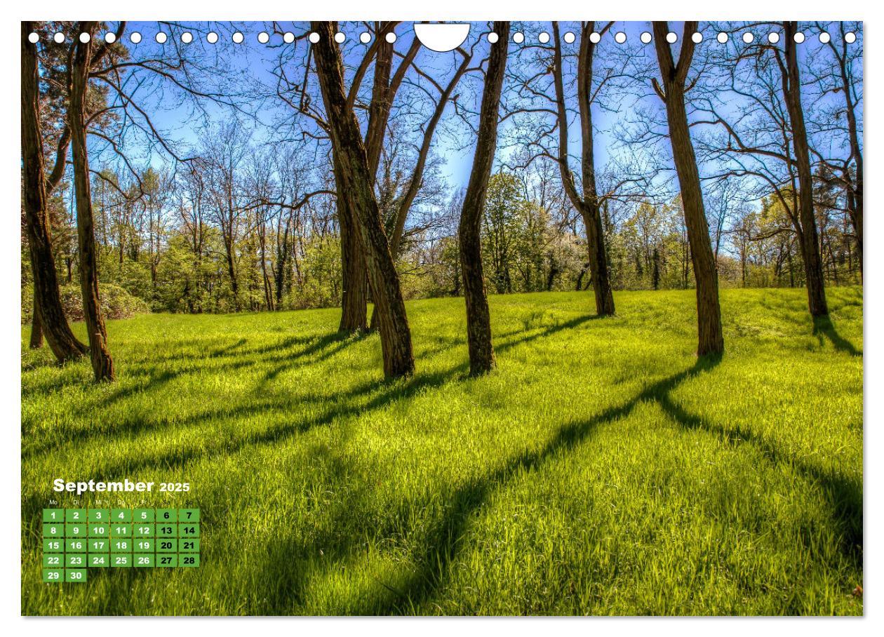 Bild: 9783383971464 | Park Schönbusch Aschaffenburg (Wandkalender 2025 DIN A4 quer),...