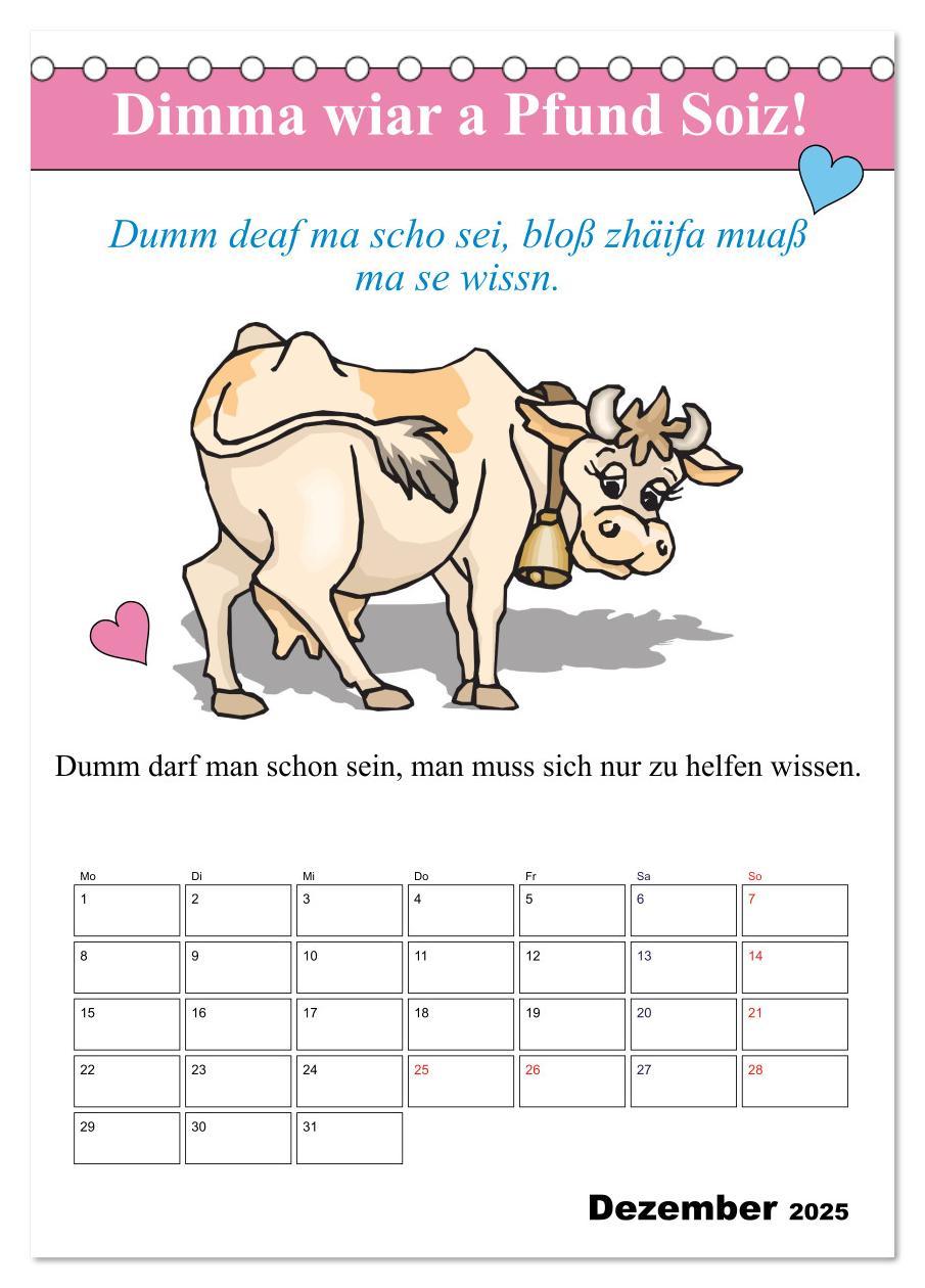 Bild: 9783457038369 | So a Schmarrn! Bairische Mundart (Tischkalender 2025 DIN A5 hoch),...