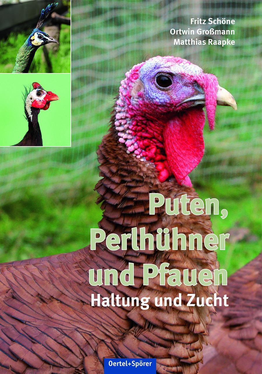 Cover: 9783886275663 | Puten, Perlhühner und Pfauen | Haltung und Zucht | Schöne (u. a.)