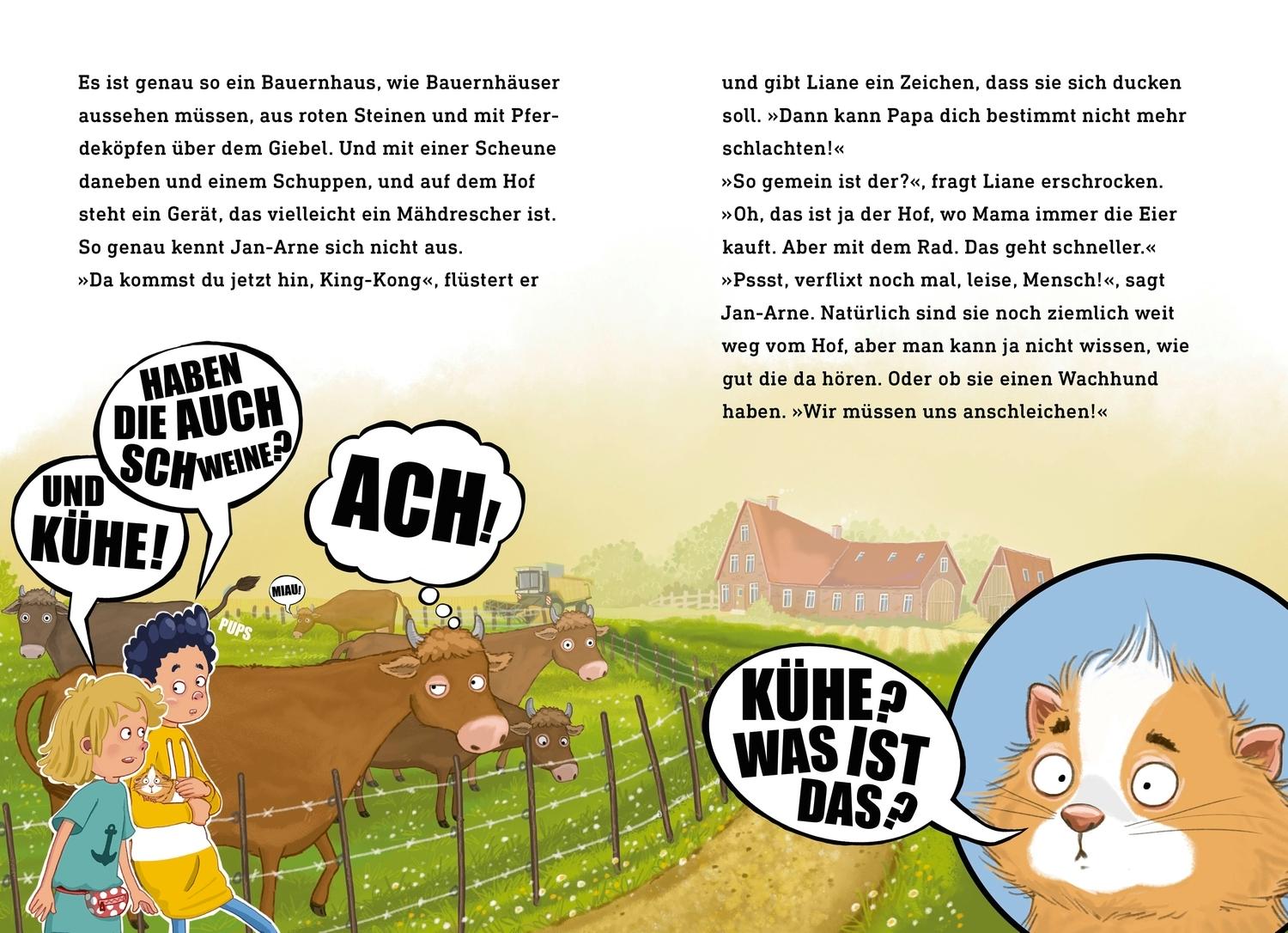 Bild: 9783751206419 | King-Kong, das Reiseschwein | Kirsten Boie | Buch | Büchersterne