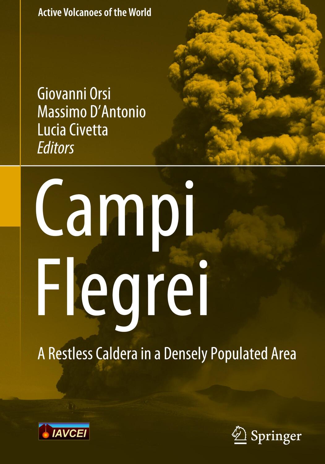 Cover: 9783642370595 | Campi Flegrei | A Restless Caldera in a Densely Populated Area | Buch