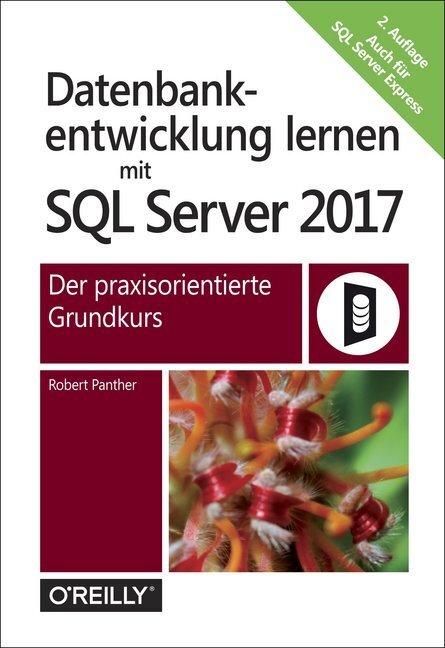 Cover: 9783960090861 | Datenbankentwicklung lernen mit SQL Server 2017 | Robert Panther