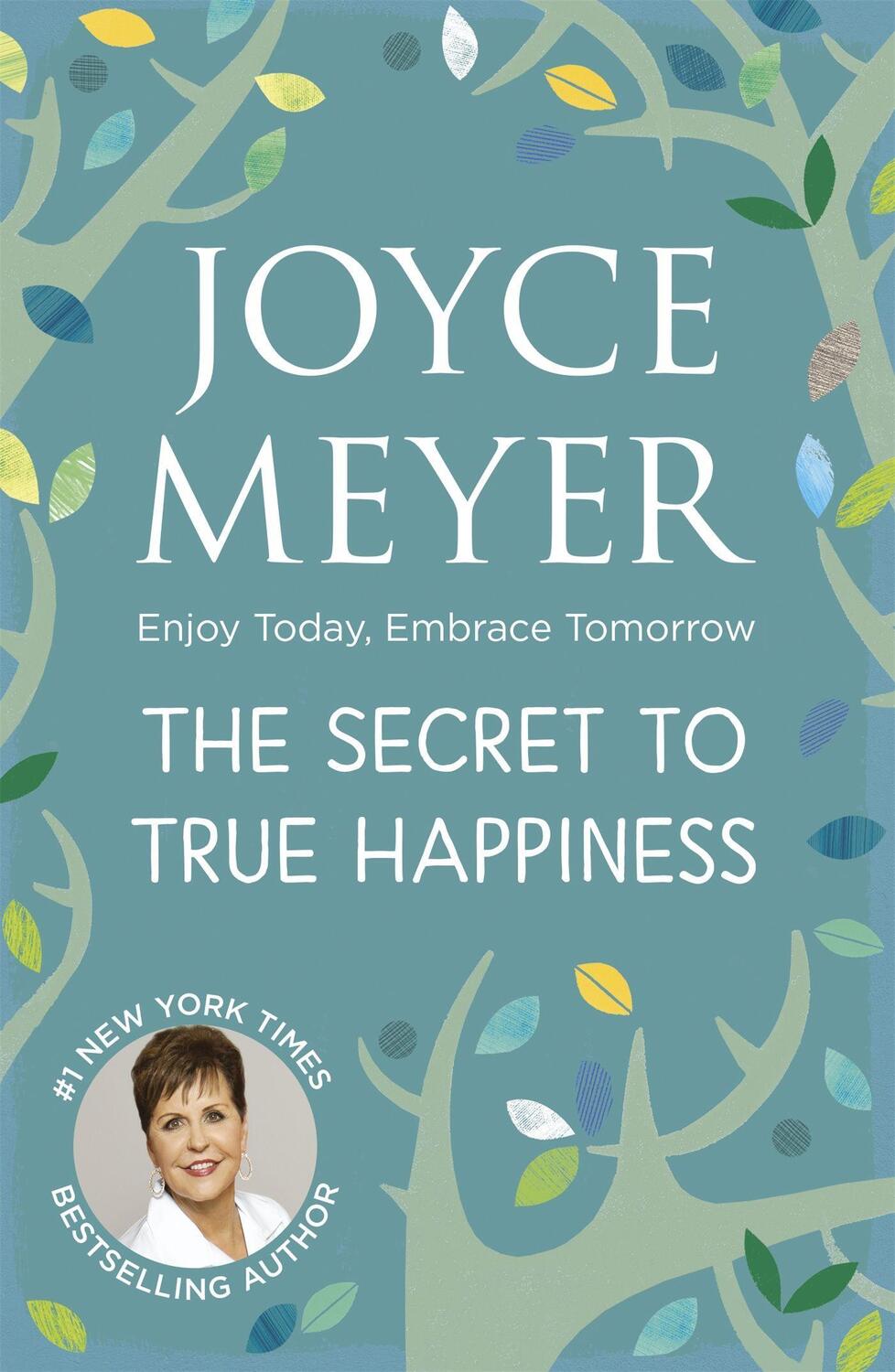 Cover: 9780340979310 | The Secret to True Happiness | Enjoy Today, Embrace Tomorrow | Meyer