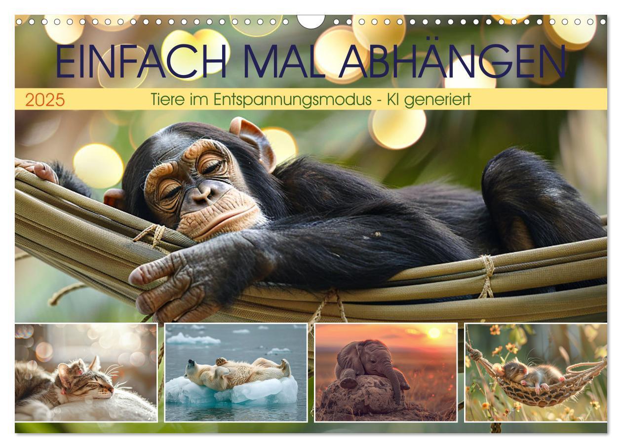 Cover: 9783435744671 | Einfach mal abhängen (Wandkalender 2025 DIN A3 quer), CALVENDO...