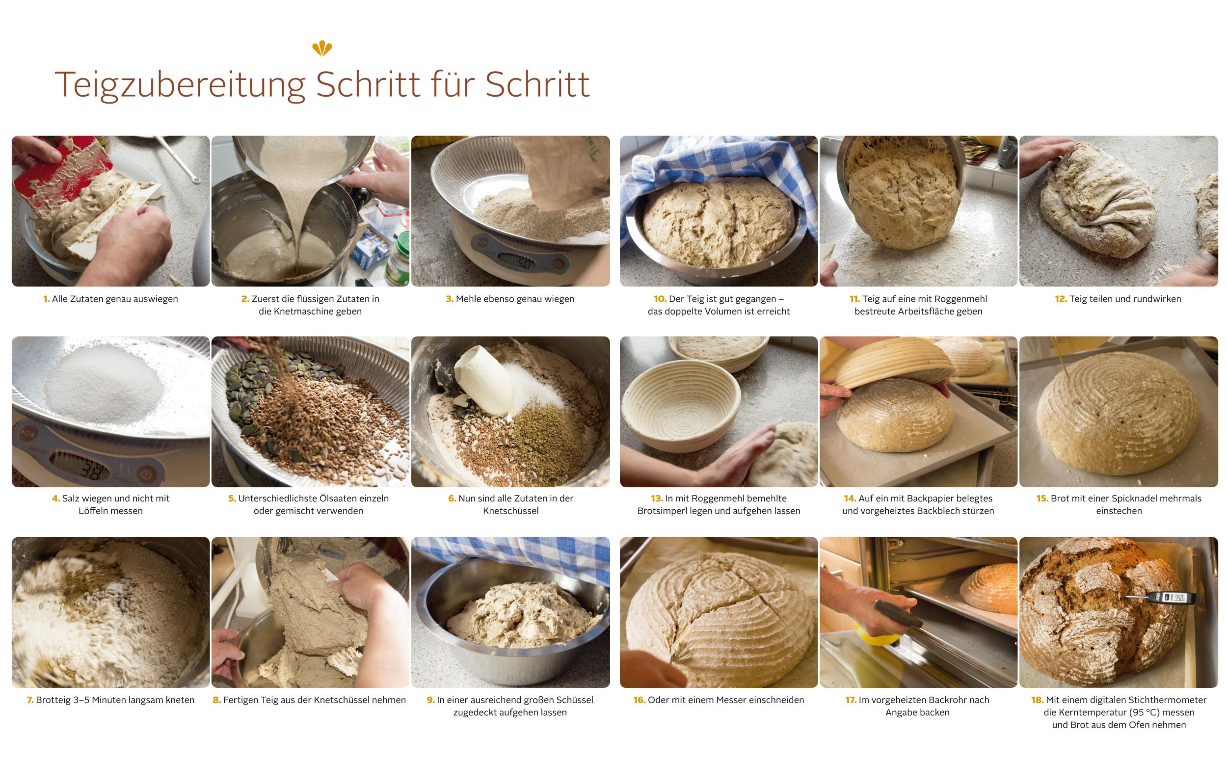 Bild: 9783706625388 | Richtig gutes Brot | Die besten Rezepte zum Selberbacken | Lipp | Buch