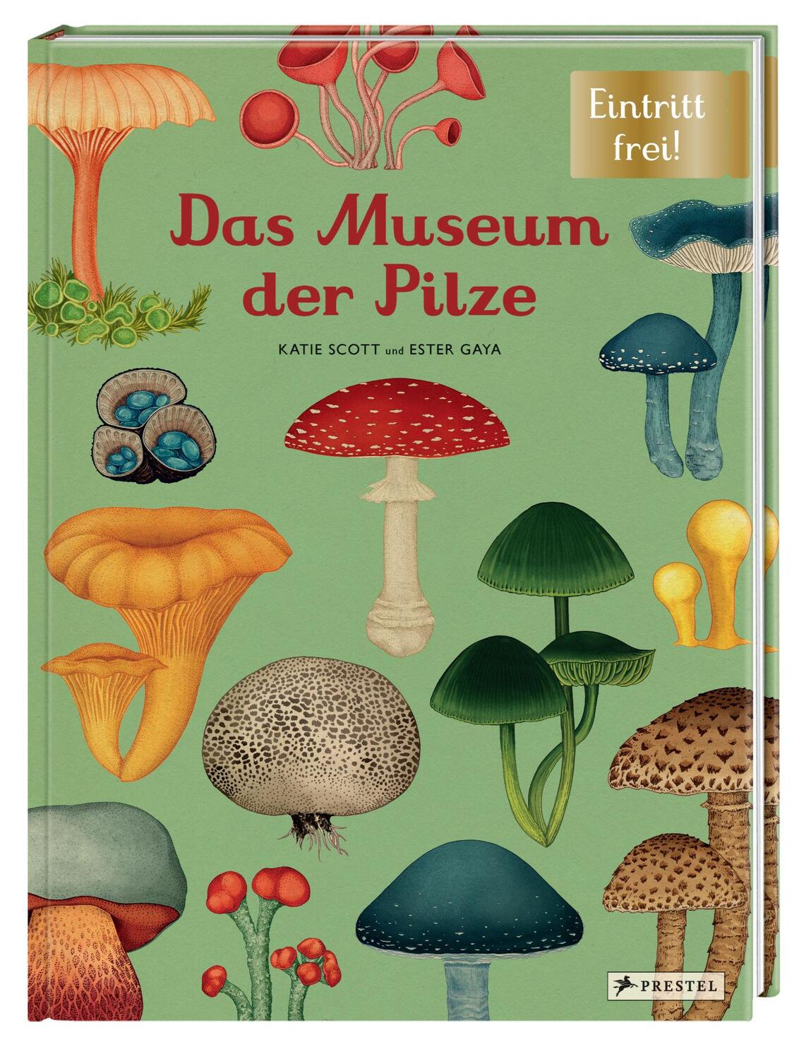 Bild: 9783791374529 | Das Museum der Pilze | Eintritt frei! | Ester Gaya (u. a.) | Buch