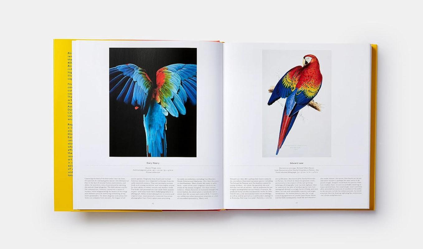 Bild: 9783038762850 | BIRDS - Die Welt der Vögel | Ein Ausflug in die gefiederte Welt | Buch