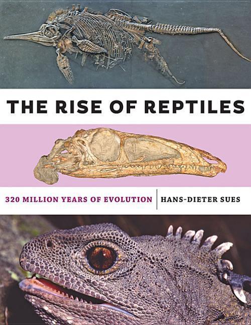 Cover: 9781421428673 | The Rise of Reptiles | 320 Million Years of Evolution | Sues | Buch