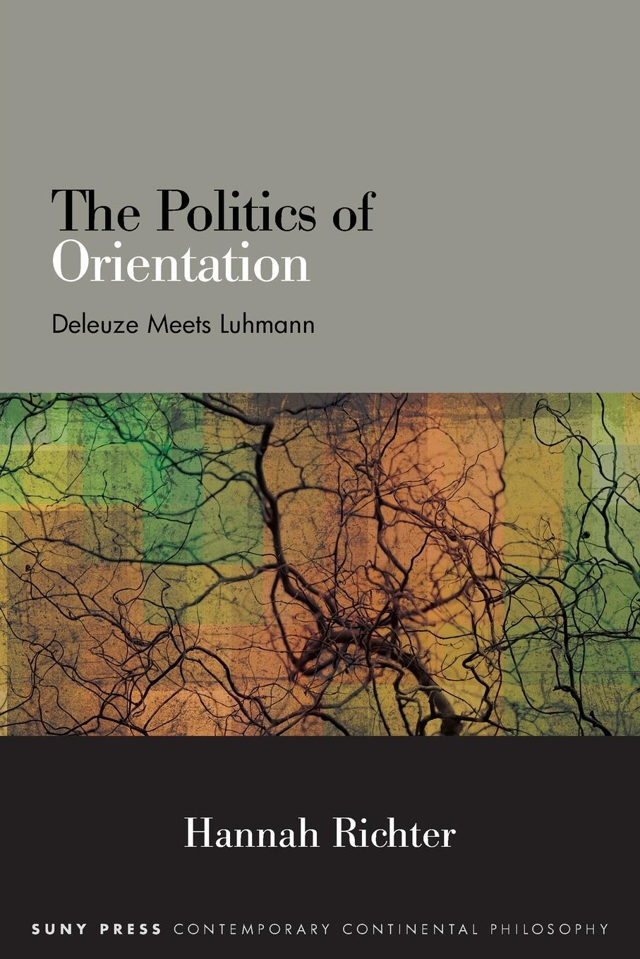 Cover: 9781438495057 | The Politics of Orientation | Deleuze Meets Luhmann | Hannah Richter