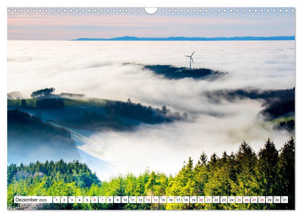 Bild: 9783435207831 | Idyllischer Schwarzwald (Wandkalender 2025 DIN A3 quer), CALVENDO...