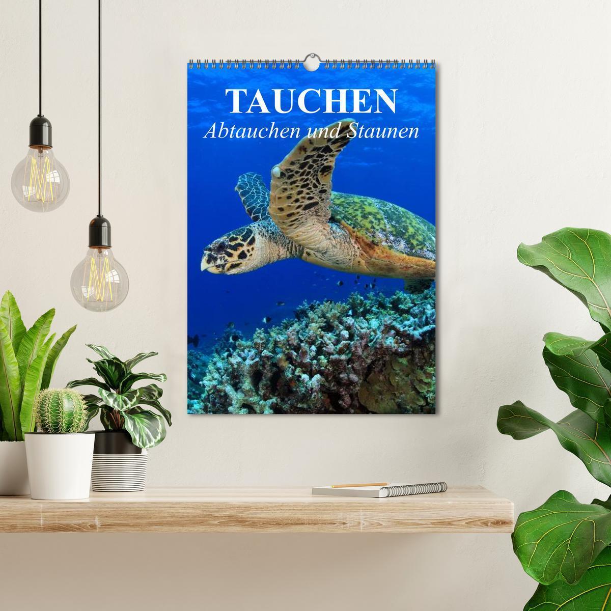 Bild: 9783457054376 | Tauchen - Abtauchen und Staunen (Wandkalender 2025 DIN A3 hoch),...