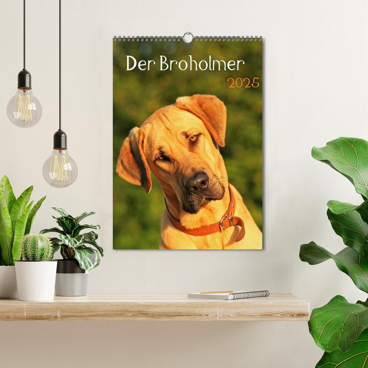 Bild: 9783457033555 | Der Broholmer (Wandkalender 2025 DIN A3 hoch), CALVENDO Monatskalender