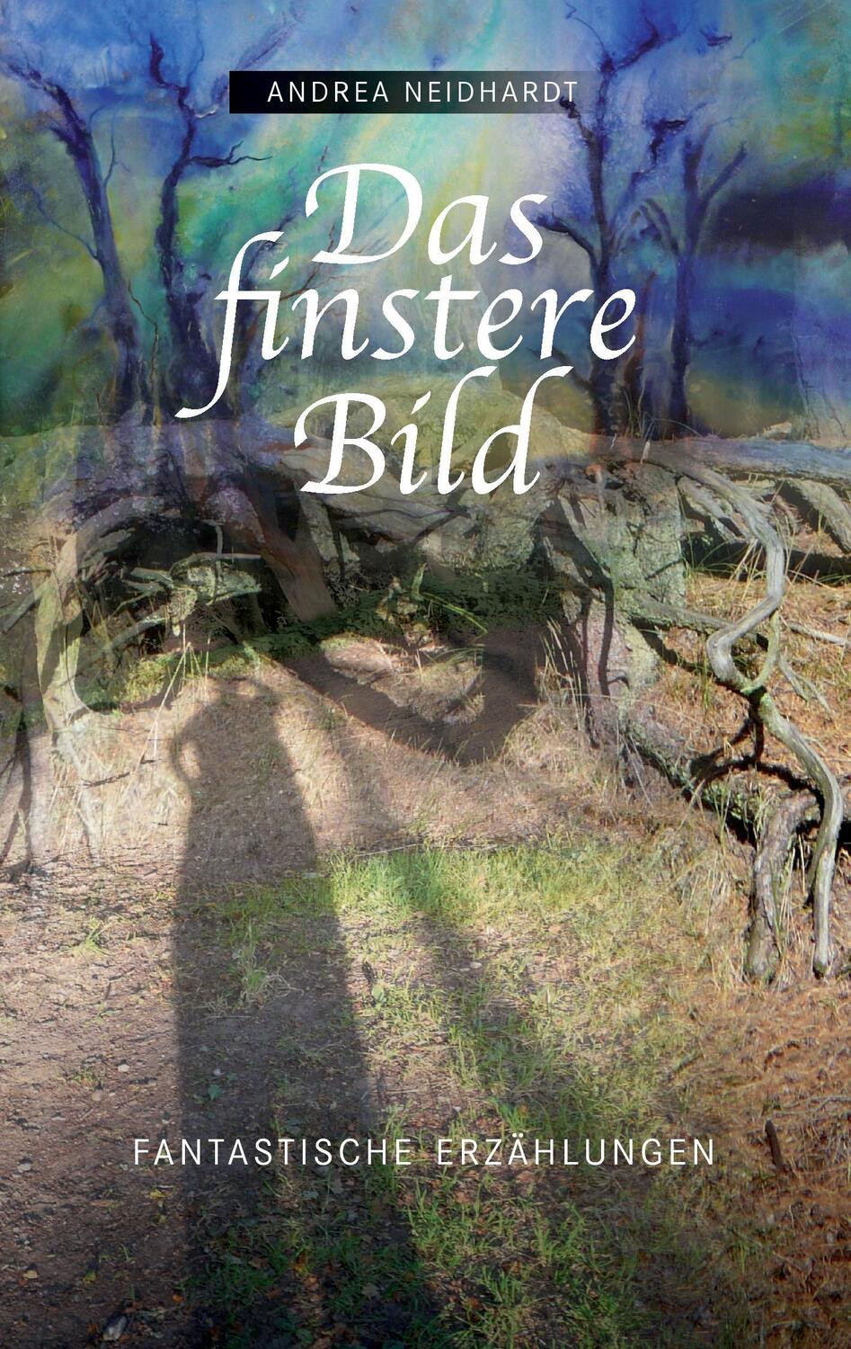 Cover: 9783743181151 | Das finstere Bild | Fantastische Erzählungen | Andrea Neidhardt | Buch