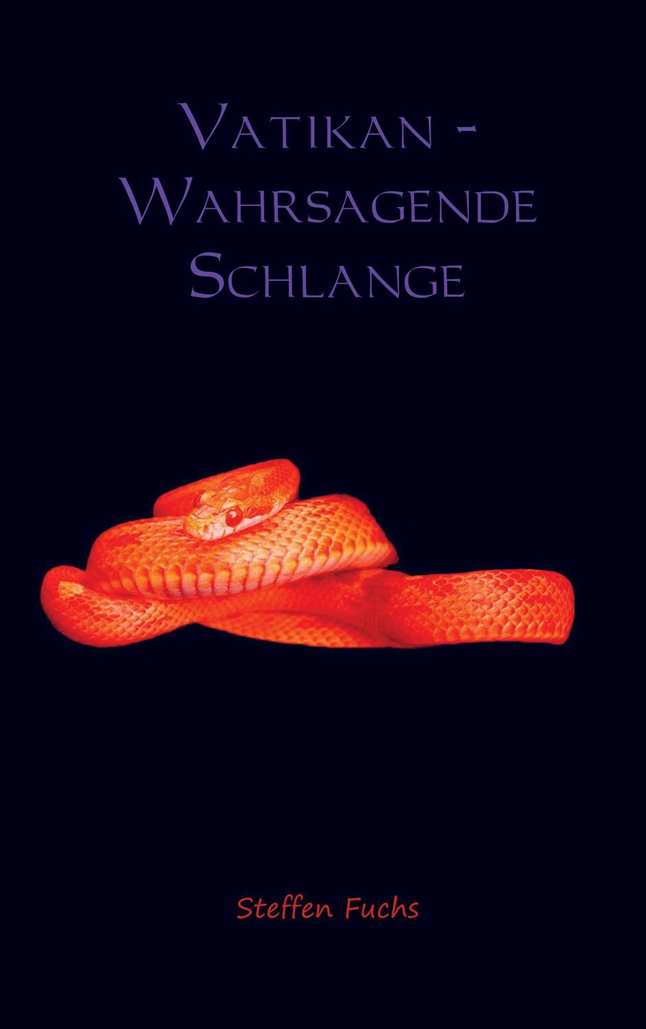 Cover: 9789462547216 | Vatikan - Wahrsagende Schlange | Steffen Fuchs | Taschenbuch