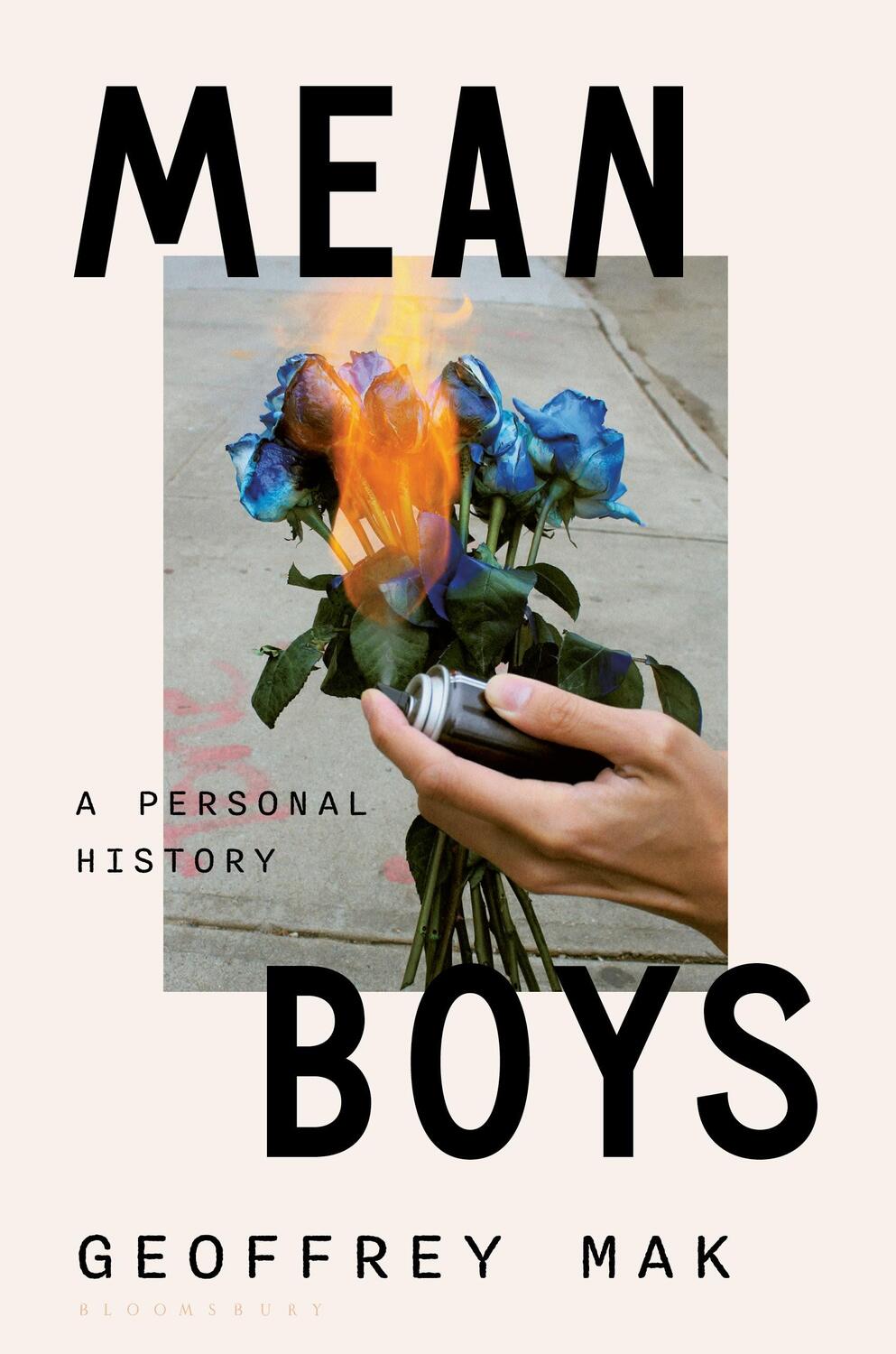 Cover: 9781635577945 | Mean Boys | A Personal History | Geoffrey Mak | Buch | Englisch | 2024