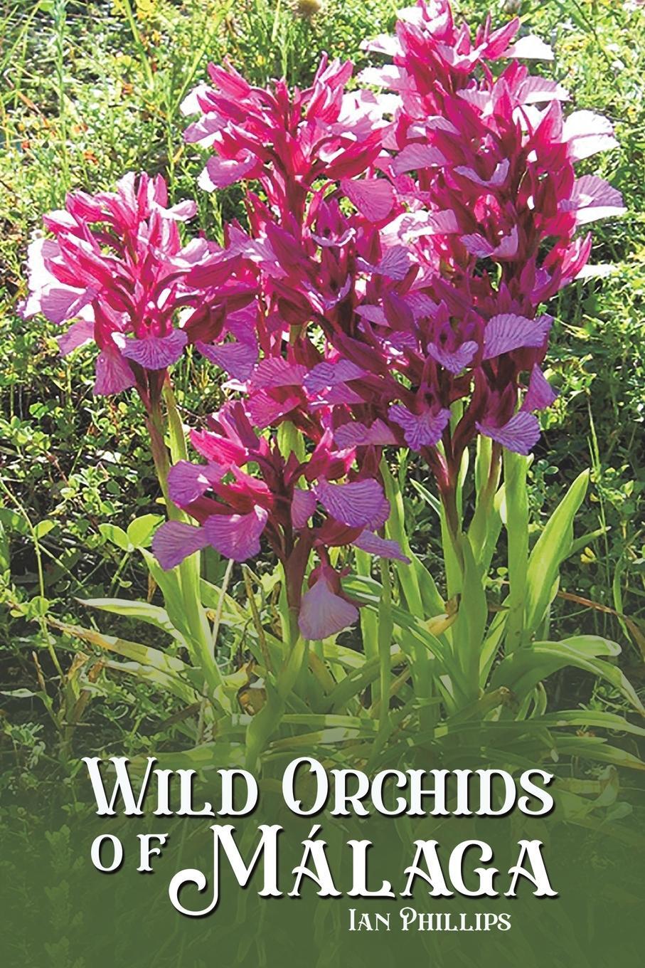 Cover: 9781528997874 | Wild Orchids of Málaga | Ian Phillips | Taschenbuch | Paperback | 2023
