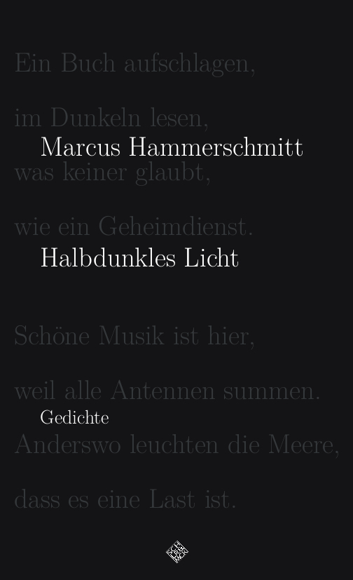 Cover: 9783899304480 | Halbdunkles Licht | Marcus Hammerschmitt | Taschenbuch | 72 S. | 2022