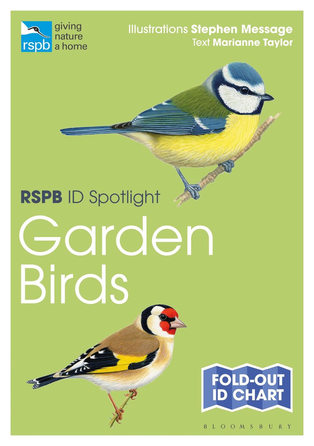 Cover: 9781472974228 | RSPB ID Spotlight - Garden Birds | Marianne Taylor | Stück | Englisch