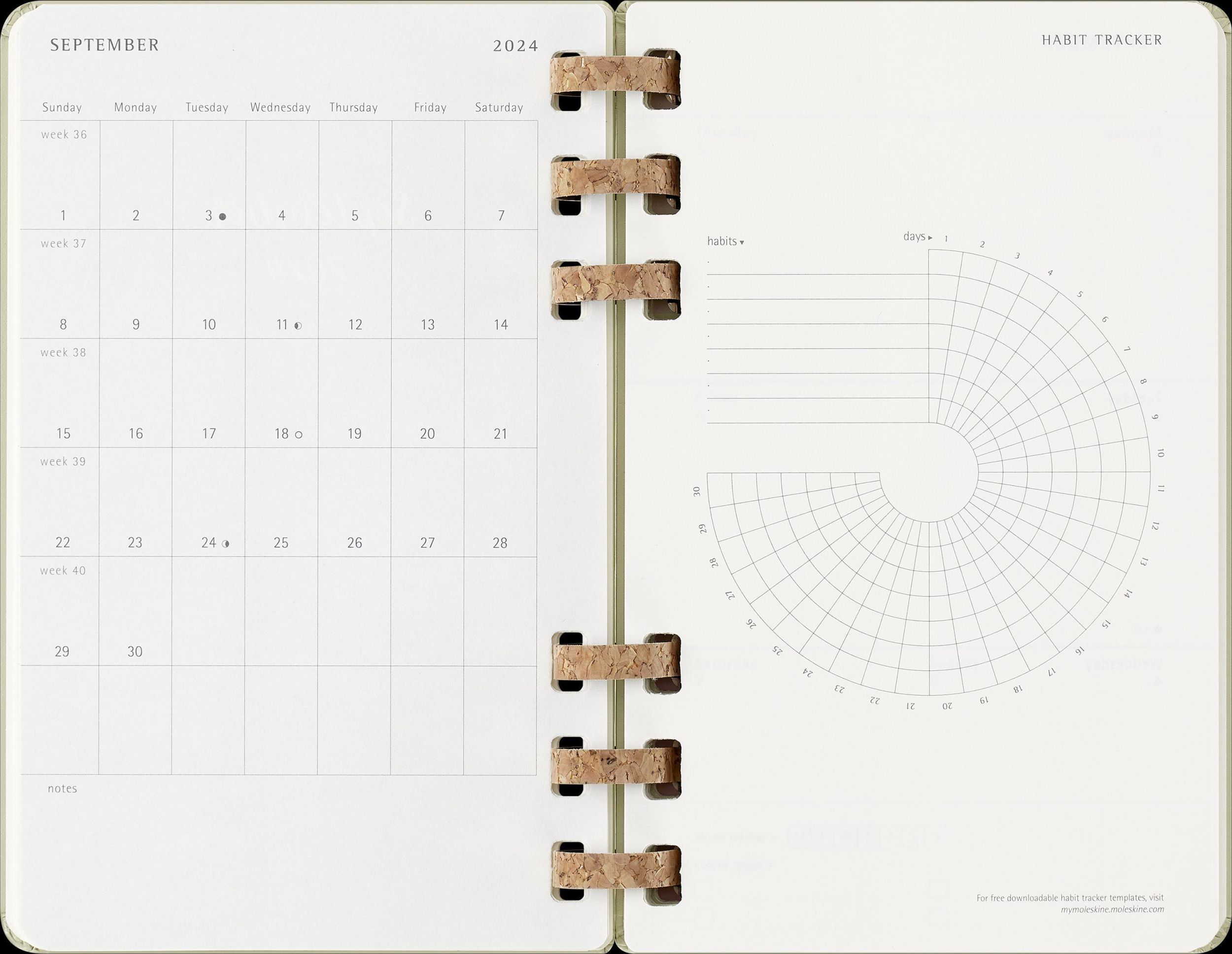 Bild: 8056999271480 | Moleskine 12 Monate Studienplaner mit Spiralbindung, L/A5, Fester...