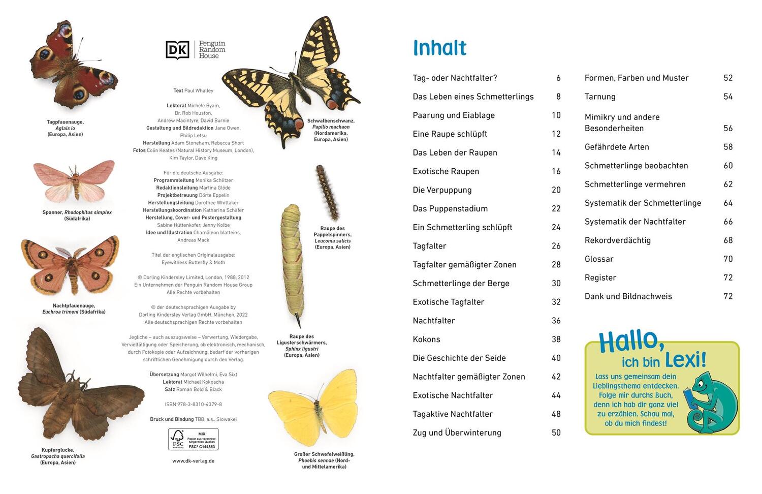 Bild: 9783831043798 | memo Wissen entdecken. Schmetterlinge | Paul Whalley | Buch | 72 S.