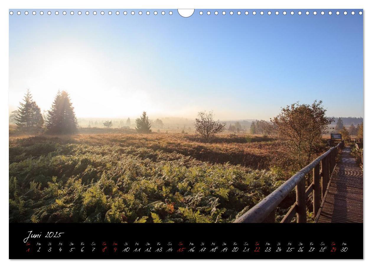 Bild: 9783435518722 | Hochmoor Hohes Venn (Wandkalender 2025 DIN A3 quer), CALVENDO...