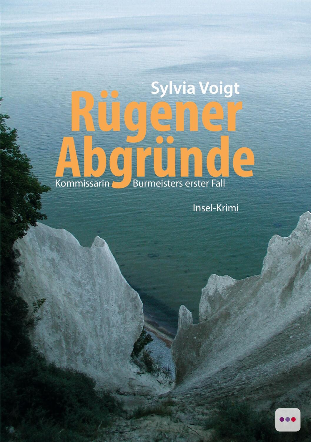 Cover: 9783898419307 | Rügener Abgründe | Kommissarin Burmeisters erster Fall. Insel-Krimi