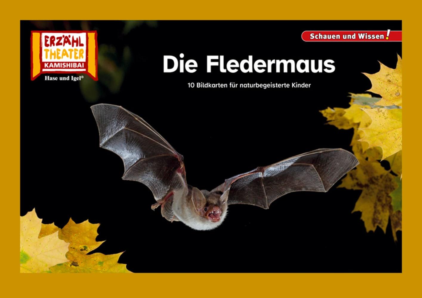 Cover: 4260505832926 | Die Fledermaus / Kamishibai Bildkarten | Taschenbuch | 12 S. | Deutsch