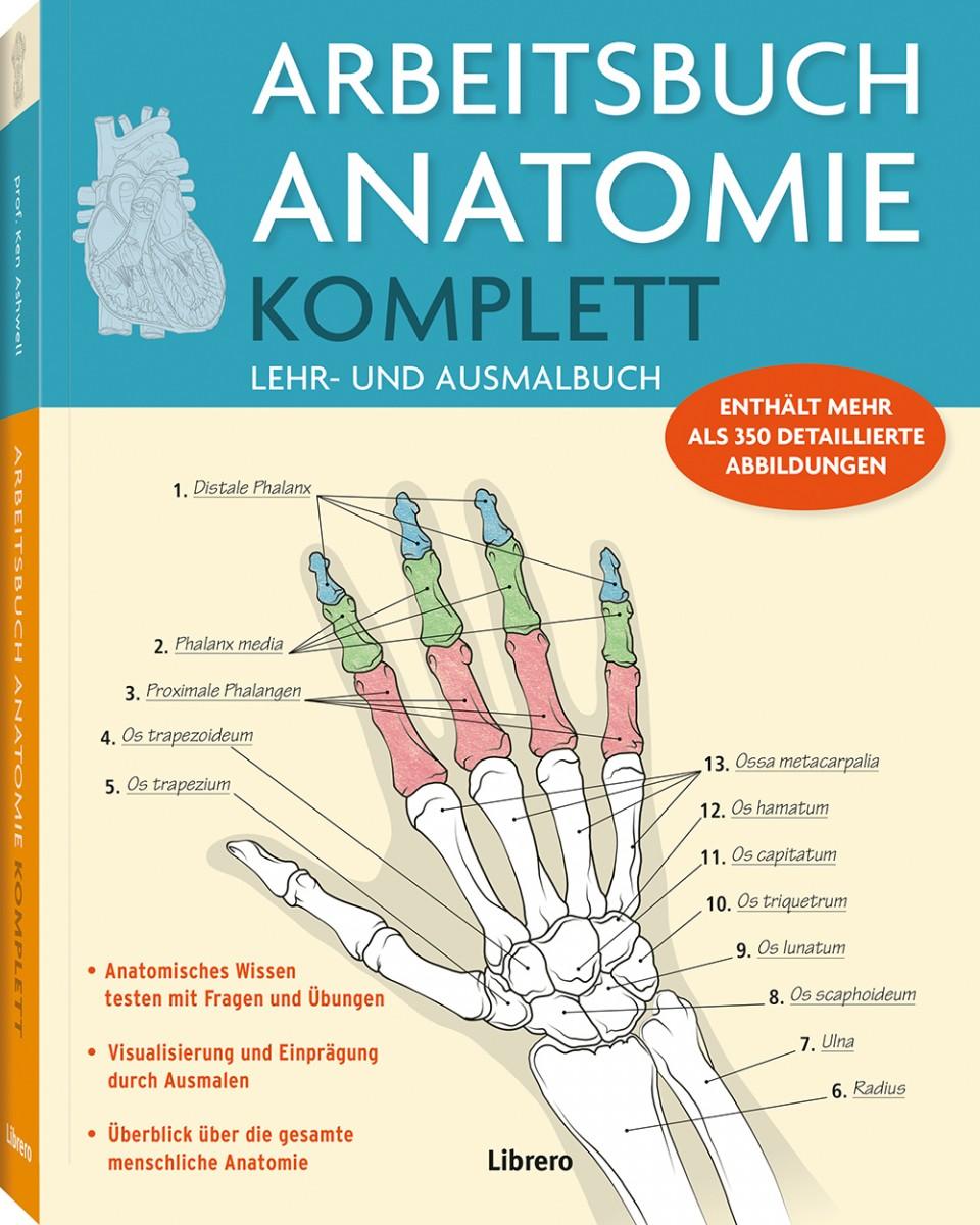 Cover: 9789463592697 | Arbeitsbuch Anatomie Komplett | P. Carter (u. a.) | Taschenbuch | 2025