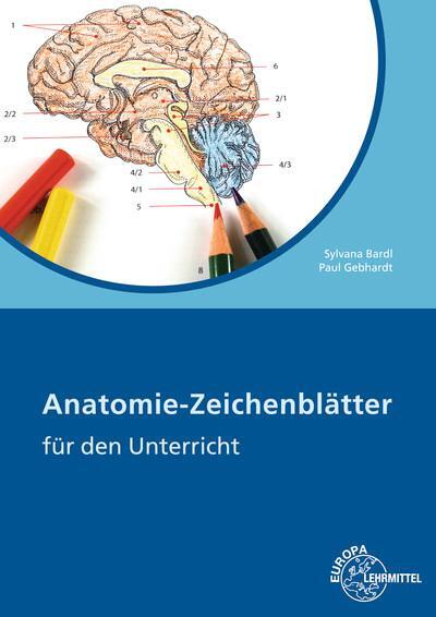 Cover: 9783808568071 | Anatomie Zeichenblätter | Für den Unterricht | Paul Gebhardt (u. a.)