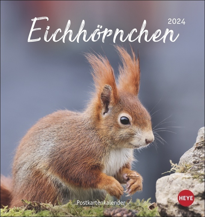 Cover: 9783756402076 | Eichhörnchen Postkartenkalender 2024. Dekorativer...