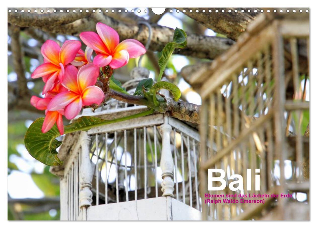 Cover: 9783383629365 | Bali (Wandkalender 2024 DIN A3 quer), CALVENDO Monatskalender | 2024