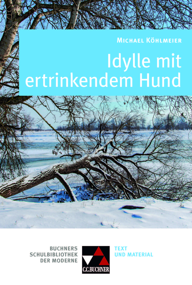 Cover: 9783766139924 | Köhlmeier, Idylle mit ertrinkendem Hund | Klaus Will | Taschenbuch